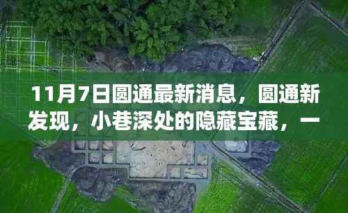 圆通新发现,小巷深处的隐藏美食宝藏,美食冒险之旅启幕