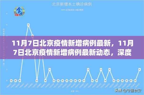 北京疫情最新动态,11月7日新增病例深度分析与案例观察