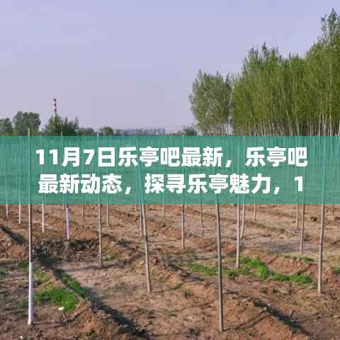 探寻乐亭魅力,最新动态与精彩瞬间(11月7日更新)