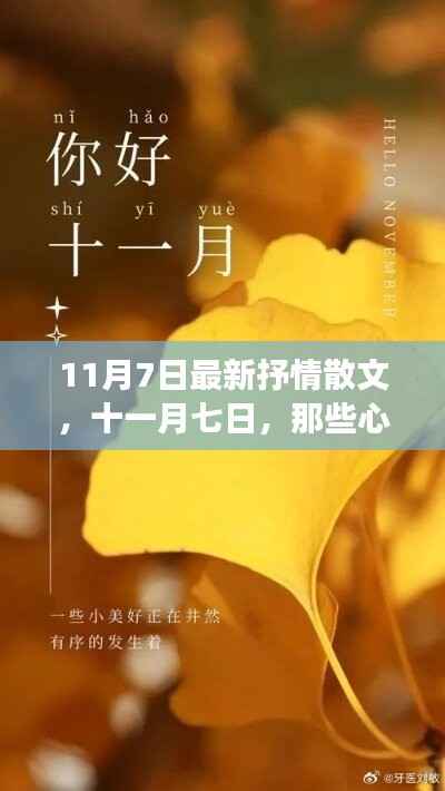 十一月七日,心绪与文字的交响