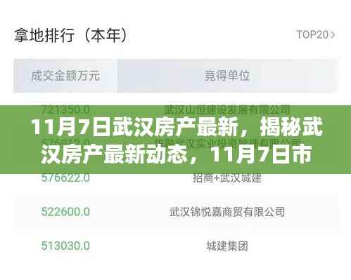 揭秘武汉房产最新动态,市场概览及趋势展望(附深度解析)