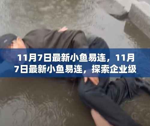 11月7日最新小鱼易连,引领企业级视频会议新境界