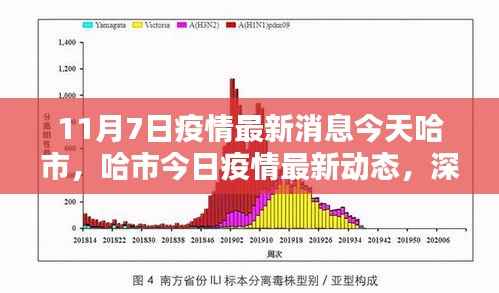 哈尔滨疫情最新动态,今日分析与个人观点分享(11月7日更新)