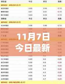 最新鹅价评测报告,特性、使用体验与竞品对比