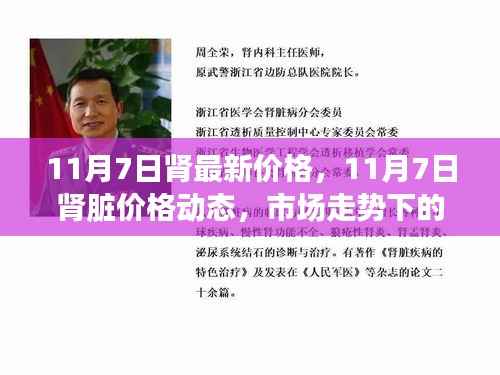 11月7日肾脏价格动态及市场走势多元观点探讨