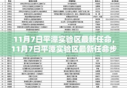 11月7日平潭实验区最新任命详解,步骤指南与参考