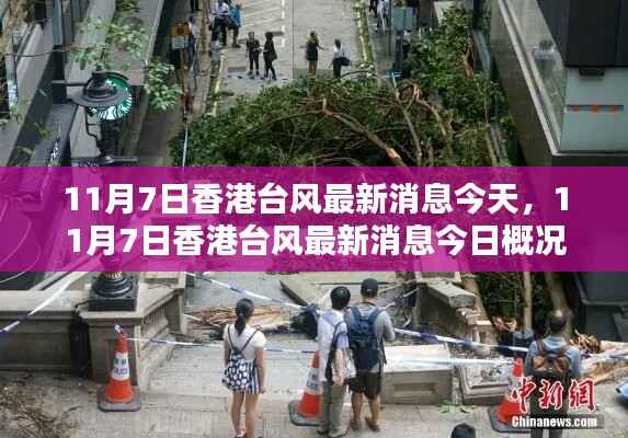 香港今日台风最新消息及概况(11月7日更新)