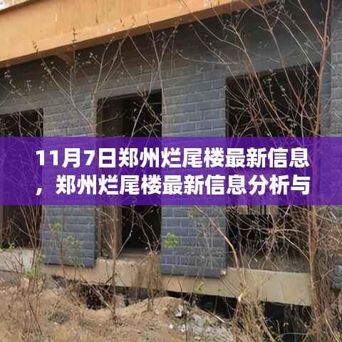 郑州烂尾楼最新动态,11月7日更新与观点阐述