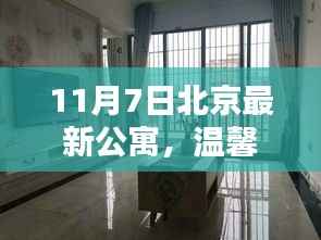 北京最新公寓11月7日探秘,温馨家园,每日感受爱的拥抱