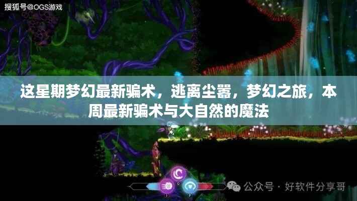 梦幻之旅本周最新骗术揭秘,逃离尘嚣,探寻大自然的魔法陷阱