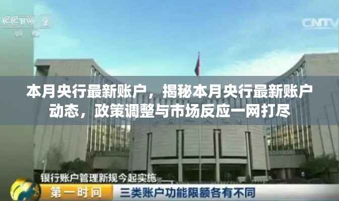 揭秘本月央行最新账户动态,政策调整与市场反应全面解析