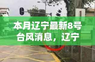 辽宁八月特色小店与台风8号的奇妙邅行,最新台风消息解读