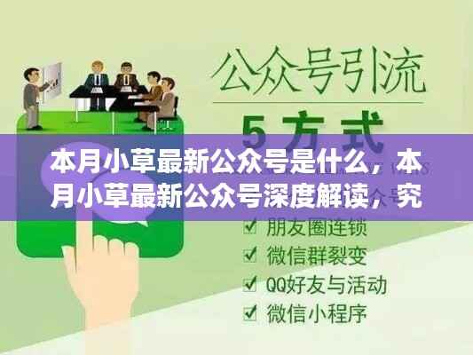 本月小草最新公众号揭秘,深度解读背后的神秘力量