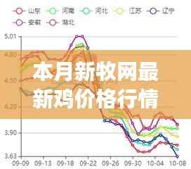 本月新牧网鸡价格行情解析,牧场新篇章与温馨故事