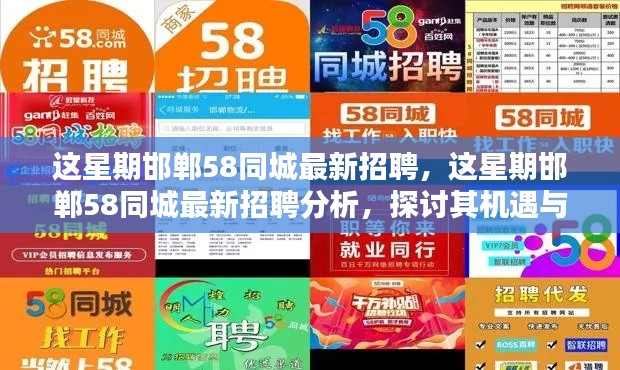邯郸58同城最新招聘深度解析,机遇与挑战一览