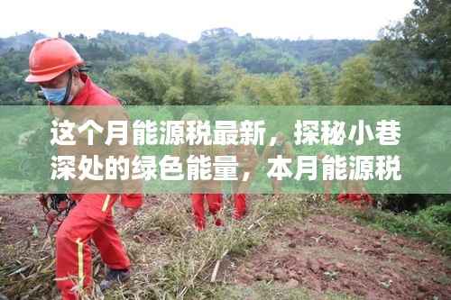 探秘绿色能量,本月能源税新动态下的小巷独特小店之旅