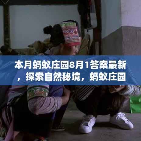 蚂蚁庄园八月探索之旅,最新答案揭晓,寻找内心的宁静与平和