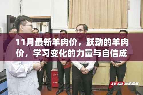 跃动的羊肉价,探索变化力量与自信成就的未来