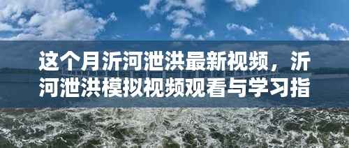 沂河泄洪模拟视频最新动态,观看指南与学习掌握最新动态