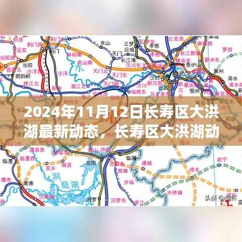 长寿区大洪湖最新动态,历史变迁与未来展望(2024年1月)