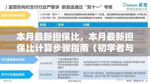 本月担保比计算指南,初学者与进阶用户适用