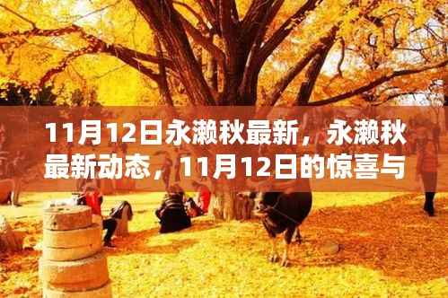 永濑秋最新动态,11月12日的惊喜与期待