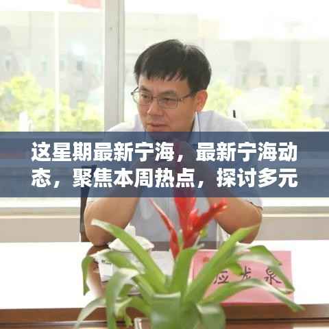 本周宁海热点聚焦,多元观点探讨最新动态
