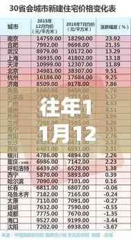 海南新规深度解析，特性、体验、对比与用户群体分析