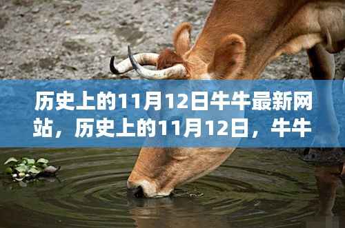历史上的11月12日,牛牛最新网站的诞生与成长之路