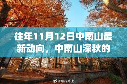 中南山深秋的隐秘魅力,与自然美景的邂逅之旅(最新动向在11月12日)