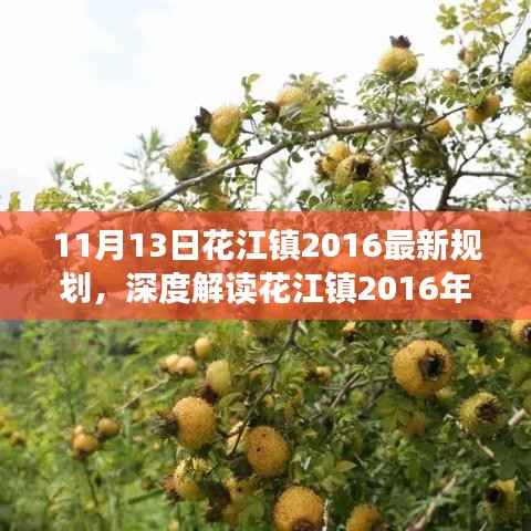 花江镇最新规划深度解读,特性、体验、竞争分析与目标用户群体剖析(2016年)