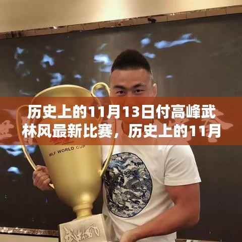 历史上的11月13日付高峰武林风比赛深度评测与介绍,最新比赛回顾与赏析