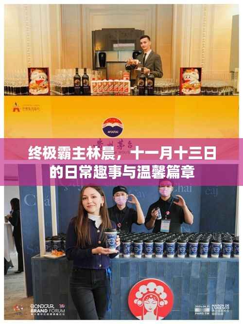 终极霸主林晨,十一月十三日的日常趣事与温馨篇章