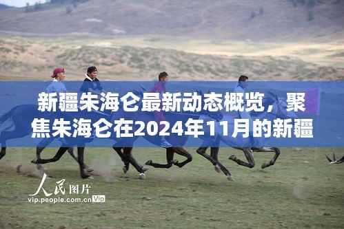 新疆朱海仑最新动态概览,聚焦朱海仑在2024年11月的新疆活动消息