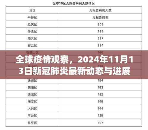 全球疫情观察,2024年11月13日新冠肺炎最新动态与进展
