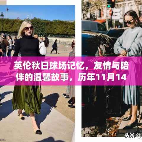 英伦秋日球场记忆,友情与陪伴的温馨故事,历年11月14日英超最新球场回顾