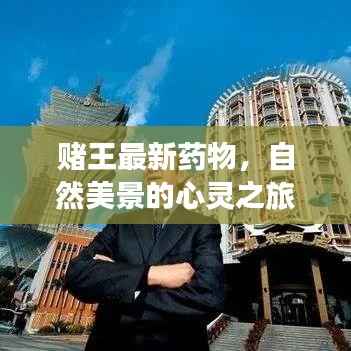 赌王最新药物,自然美景的心灵之旅启程寻找内心宁静与平和之旅