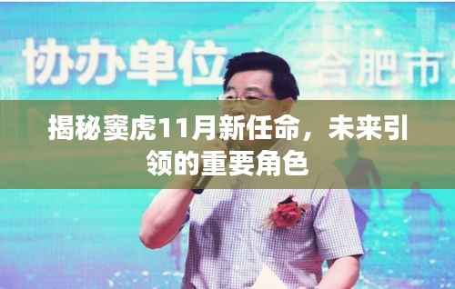 揭秘窦虎11月新任命,未来引领的重要角色