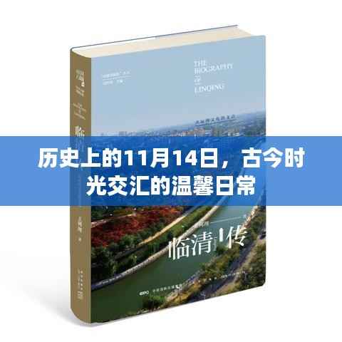 历史上的11月14日,古今时光交汇的温馨日常