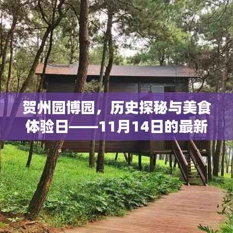 贺州园博园,历史探秘与美食体验日——11月14日的最新消息与惊喜之旅