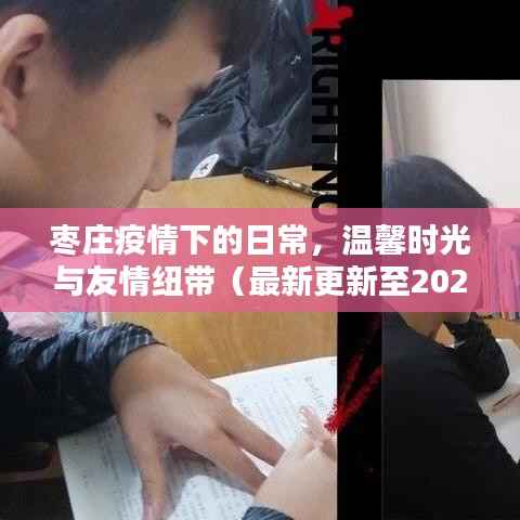 枣庄疫情下的日常,温馨时光与友情纽带(最新更新至2024年11月)