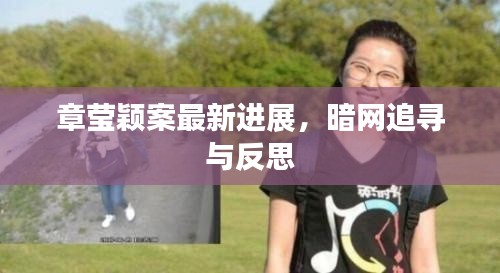 章莹颖案最新进展,暗网追寻与反思