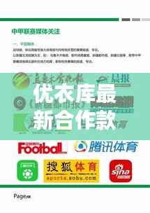 优衣库最新合作款购买指南,轻松入手心仪款式,11月16日抢购攻略