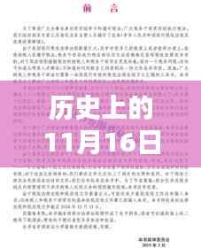 历史上的11月16日山丹马场新政策深度解读与案例分析,最新政策概览与案例分析纪实
