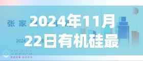 揭秘未来科技浪潮,2024年有机硅新品引领智能生活革新之旅
