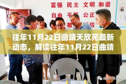 解读往年11月22日曲靖天欣苑最新动态,深度分析与观点阐述