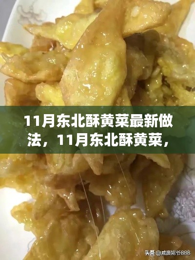 11月东北酥黄菜,美食与美景的双重追寻,解锁心灵宁静密码