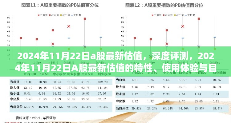 深度解析,2024年11月22日A股最新估值特性、用户体验与目标用户群体分析