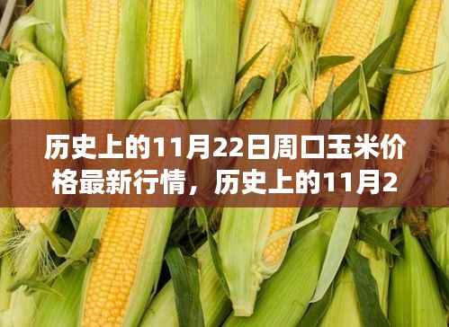 历史上的11月22日周口玉米价格深度解析与最新行情回顾