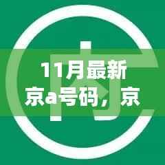 11月最新京a号码,京A新贵降临,全面解读11月最新京A号码